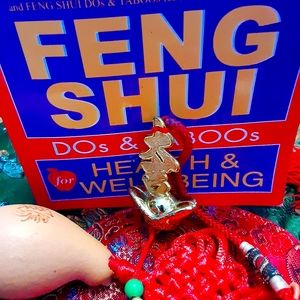 Book on feng shui, health and well-being